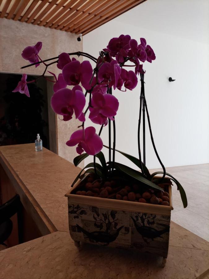 Casa De Campo No Resort Residence Thermas De Santa Barbara Агуас-ди-Санта-Барбара Экстерьер фото